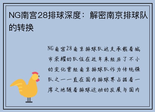 NG南宫28排球深度：解密南京排球队的转换