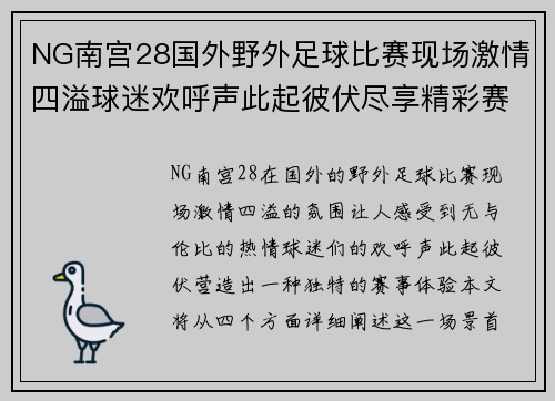 NG南宫28国外野外足球比赛现场激情四溢球迷欢呼声此起彼伏尽享精彩赛事